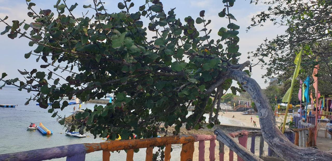 Mactan Newtown Condo With Garden And Ocean View 8Newtown Blvd 麦克坦 外观 照片